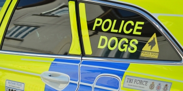 Police dog tracks down suspected drink driver after A338 road sign crash