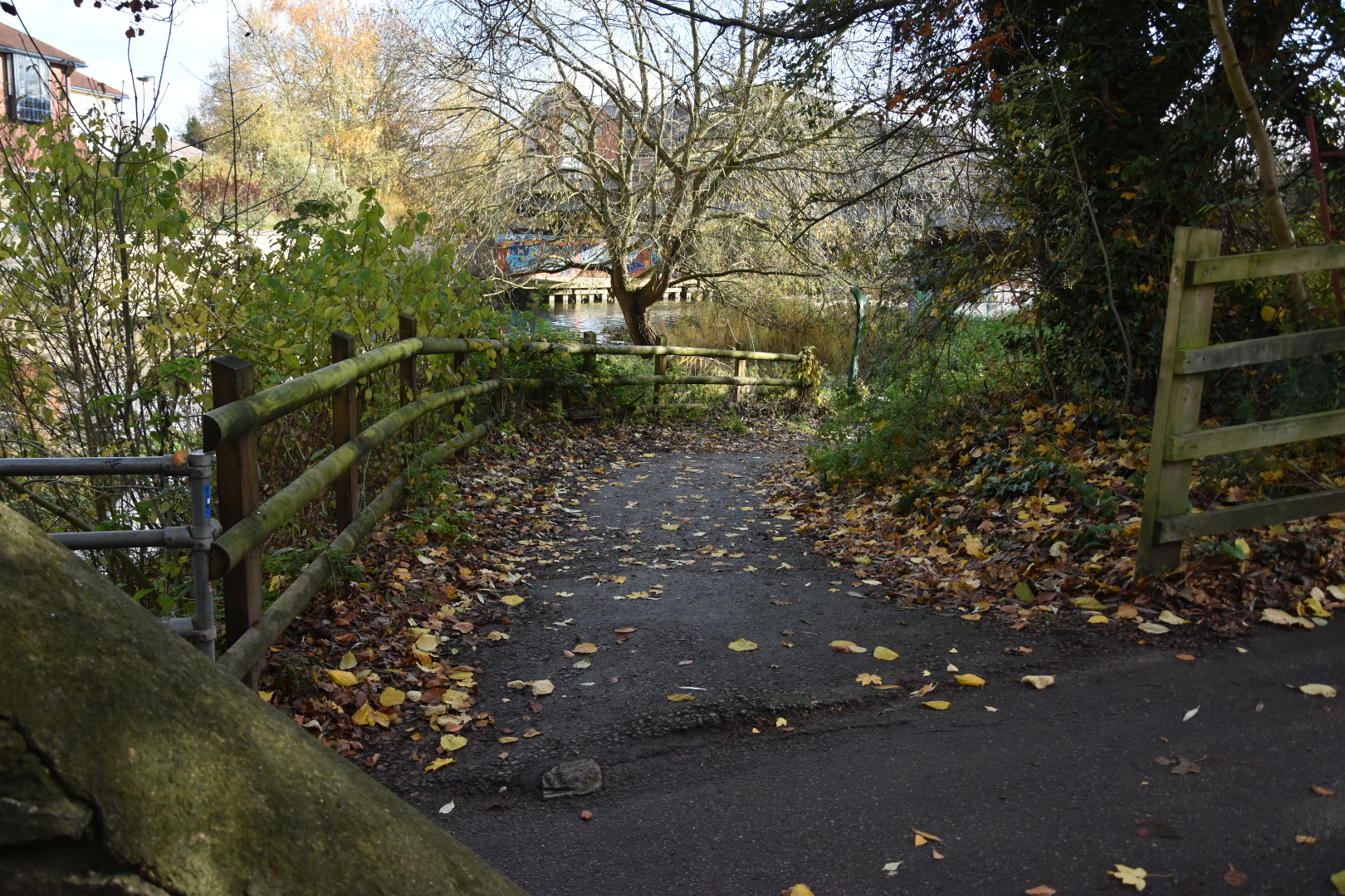 Crime scene in place after body of young man found in Chippenham