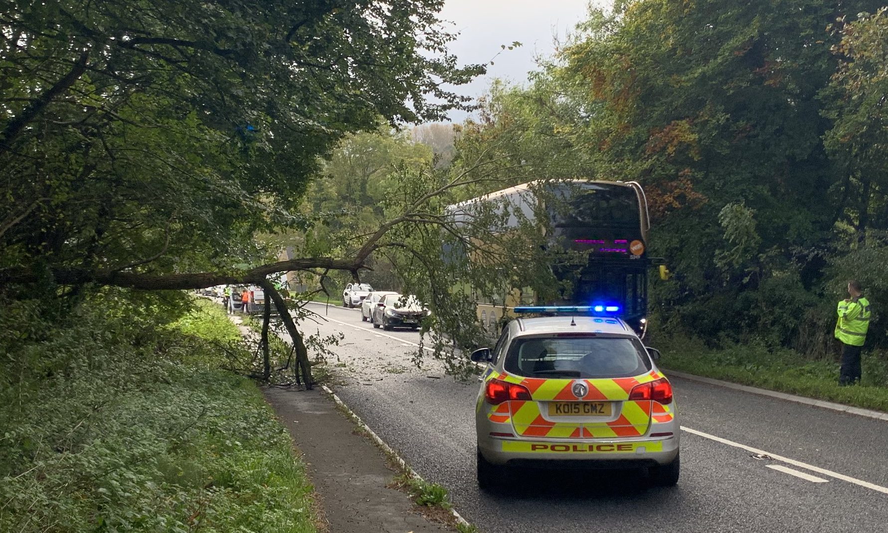Couple narrowly escape serious injuries after tree falls on moving car