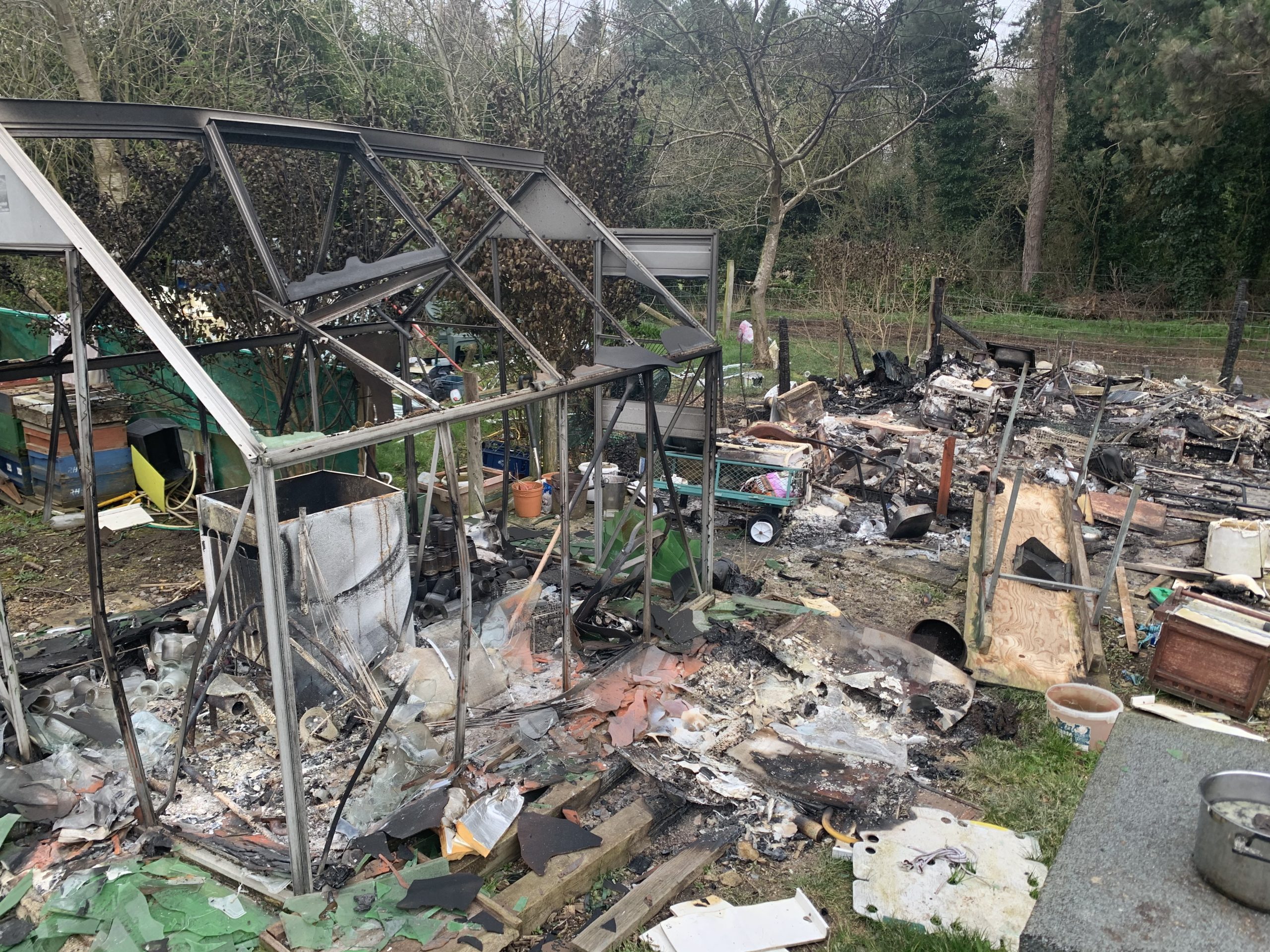 89-year-old beekeeper's setup destroyed in suspected arson attack