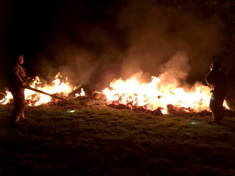 Firefighters battle blaze discovered by police officers at Swindon country park