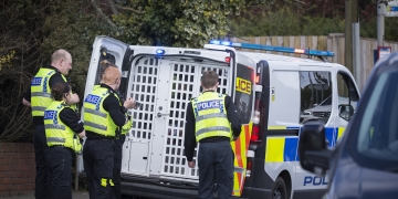 Rape reports down by 37% as crime falls significantly during lockdown