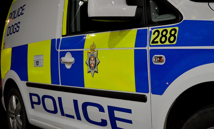 Man brandishing axe arrested in Royal Wootton Bassett as dog unit called in