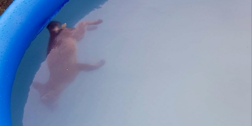 People urged to empty or cover inflatable swimming pools after fox cub drowns