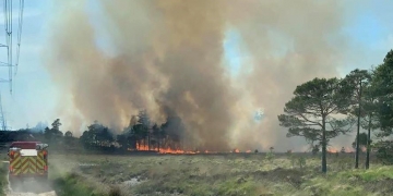 ‘Almost every station in Wiltshire’ part of 150-firefighter effort at forest blaze