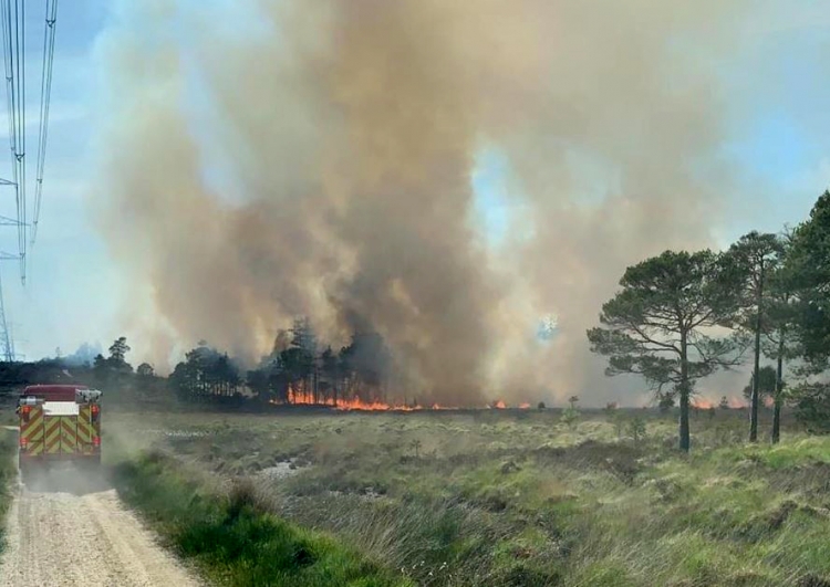 ‘Almost every station in Wiltshire’ part of 150-firefighter effort at forest blaze