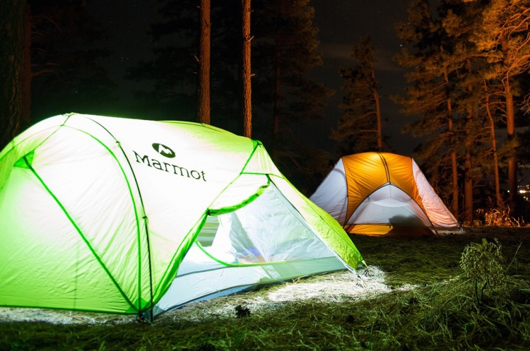 Fines issued to group after birthday camping trip in Wiltshire countryside