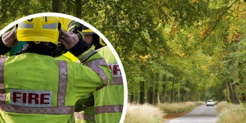 Forest at risk as visitors cause fires by having barbecues despite warnings