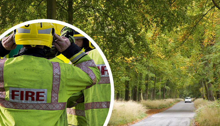 Forest at risk as visitors cause fires by having barbecues despite warnings