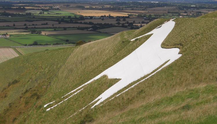 Police deal with illegal late night gathering at Westbury White Horse