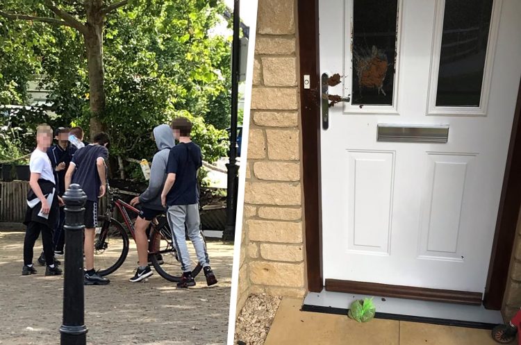 Elderly couple left ‘upset’ after youth threw dog poo at their door in Calne