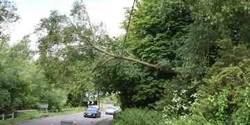 Road partially blocked as tree falls onto power lines in Bradford on Avon
