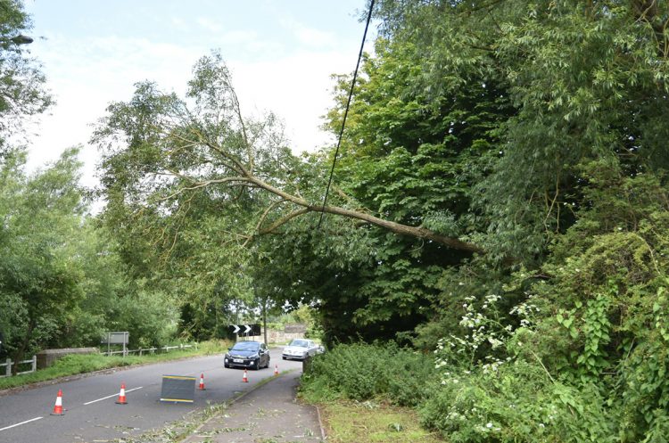 Road partially blocked as tree falls onto power lines in Bradford on Avon