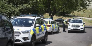 Police officer injured as taser deployed to arrest man at domestic in Ramsbury