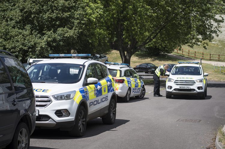 Police officer injured as taser deployed to arrest man at domestic in Ramsbury