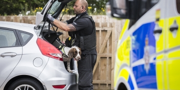 Police dog searches car after officers raid two apartments near Swindon