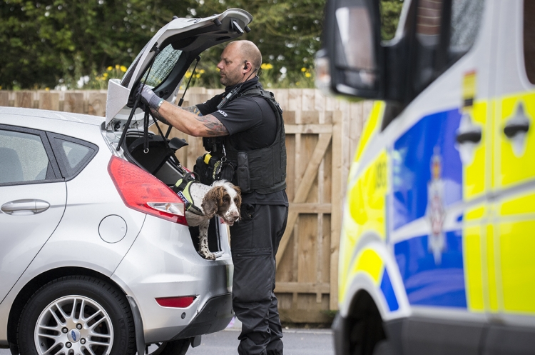 Police dog searches car after officers raid two apartments near Swindon
