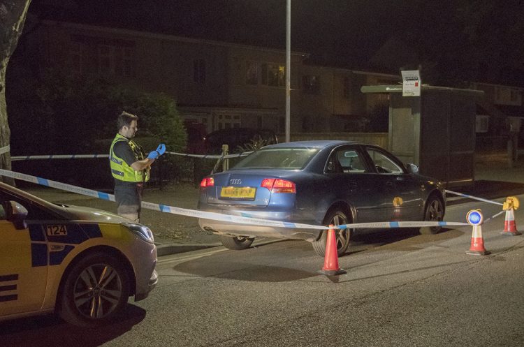 Armed police raid house after crime scene put in place around car in Swindon