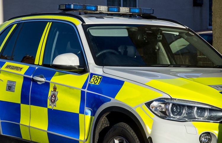 Armed police respond to report of person spotted with weapon in Amesbury
