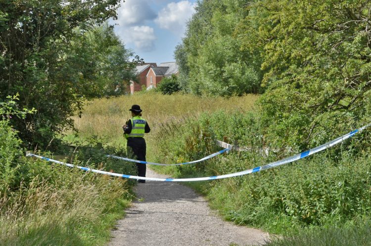 Emergency services attend serious incident at Trowbridge country park