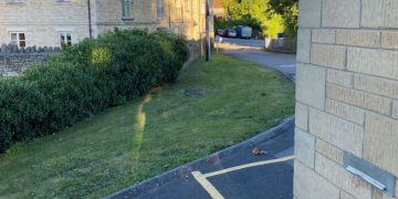 Dog caught defecating on fire station forecourt as owner watched on