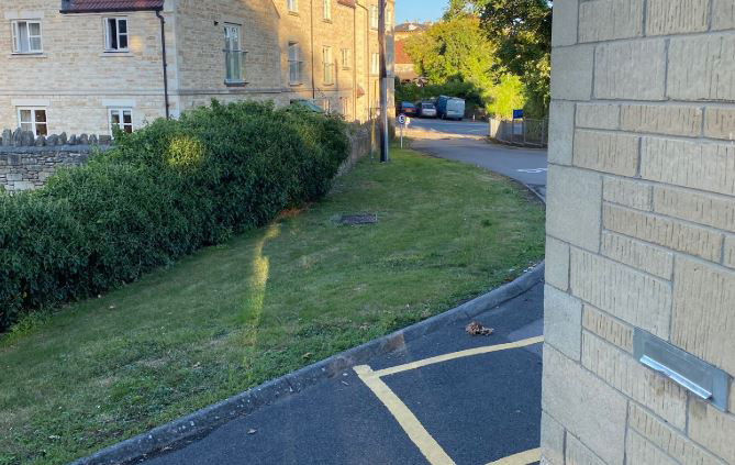 Dog caught defecating on fire station forecourt as owner watched on