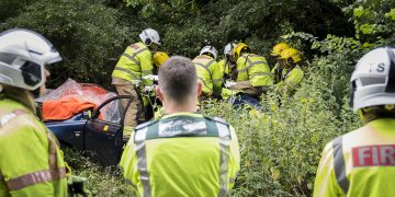 Firefighters work to free casualty from wreckage after undergrowth crash