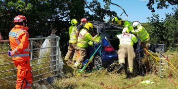 Road closed after woman suffers suspected serious injuries in A338 crash