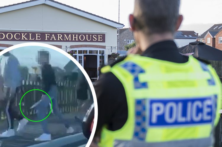 Man filmed brandishing large knife as brawl erupts at The Dockle Farmhouse