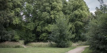 Old Sarum park cordoned off after discover of man’s body in woodland