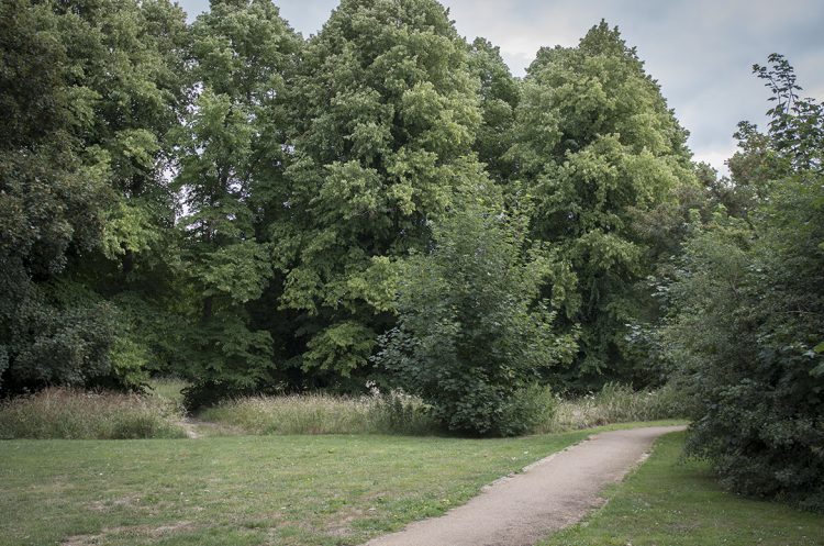 Old Sarum park cordoned off after discover of man’s body in woodland