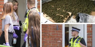IN PICTURES: Police disassemble cannabis factory found in Swindon house