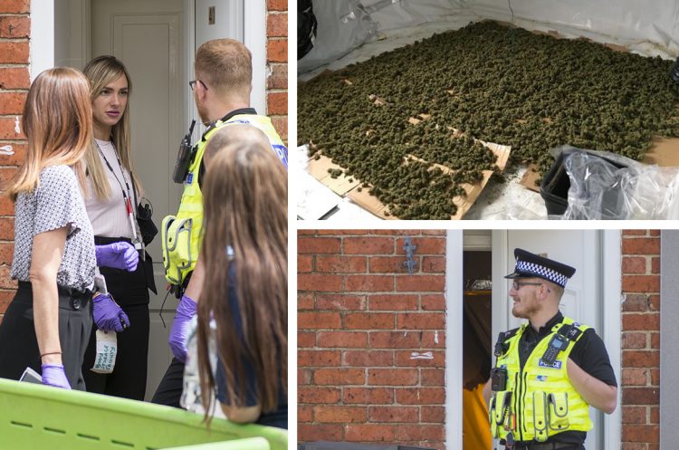 IN PICTURES: Police disassemble cannabis factory found in Swindon house