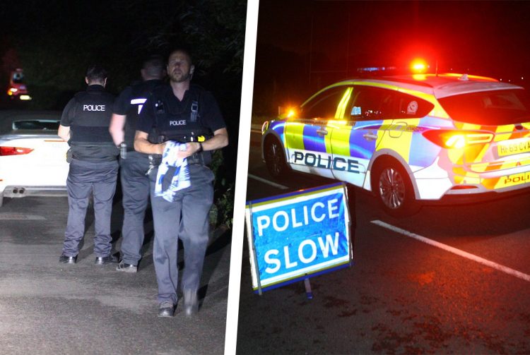 DOG SHOT DEAD: Woman airlifted to Wiltshire hospital after dog attack