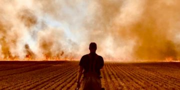 Eight fire crews battle major blaze in field as temperatures hit 33°c
