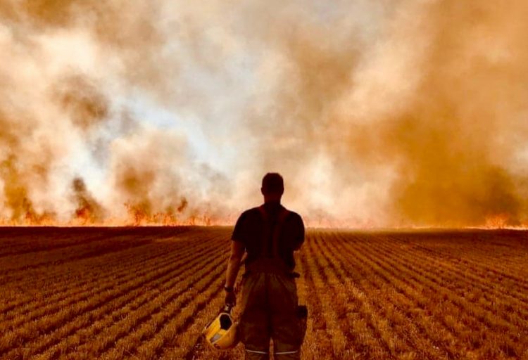 Eight fire crews battle major blaze in field as temperatures hit 33°c