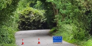 Storm Francis: Road closed as large tree falls into Hay Lane near Wroughton