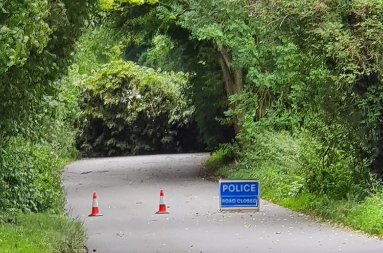 Storm Francis: Road closed as large tree falls into Hay Lane near Wroughton