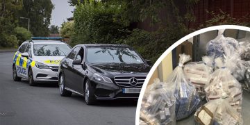 £60,000 worth of counterfeit cigarettes seized after vehicle stop in Swindon