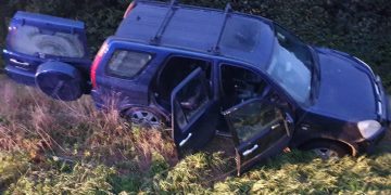 Dogs ditched by suspected poachers as they evade police after crash on A4