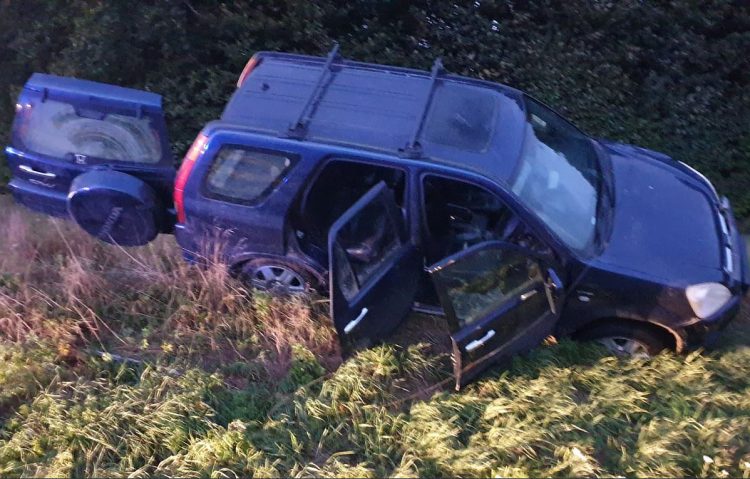 Dogs ditched by suspected poachers as they evade police after crash on A4