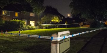 Woman suffers ‘potentially life-changing’ injury in knife attack in Swindon