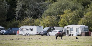 Group of travellers with ponies and geese set up camp in Swindon field