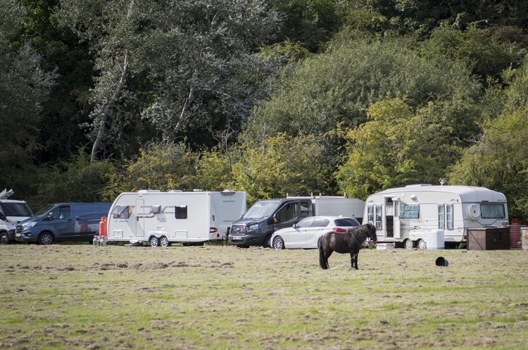 Group of travellers with ponies and geese set up camp in Swindon field