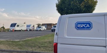 RSPCA visit traveller incursion in Swindon after concerns raised about dog