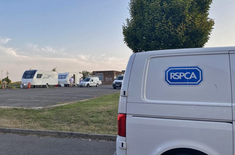 RSPCA visit traveller incursion in Swindon after concerns raised about dog