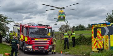Three horses injured when Wiltshire Air Ambulance landed in their field