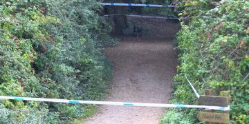 Man arrested after girl, 3, subjected to serious sexual assault on Isle of Wight