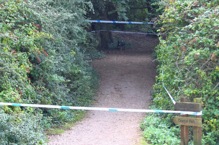 Man arrested after girl, 3, subjected to serious sexual assault on Isle of Wight
