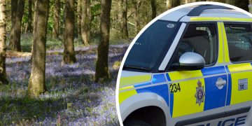 Woman in 60s punched in violent robbery whilst walking in Marlborough woods